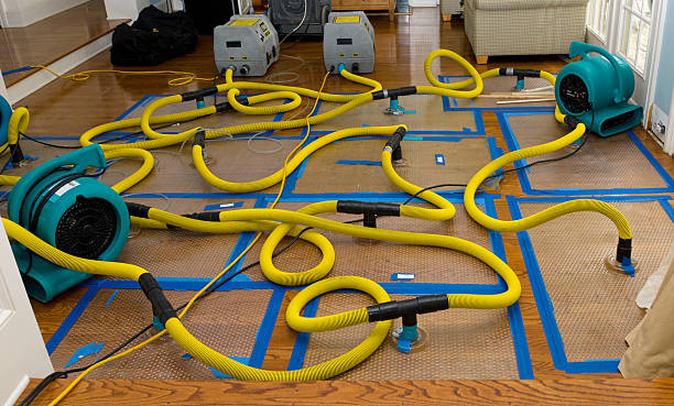 Professional Sewage Cleanup technician working in Chula Vista, TX